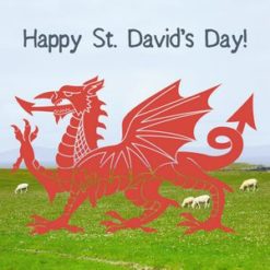 St Davids Day