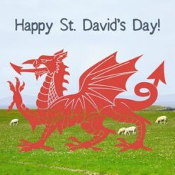 St David's Day Greeting Card