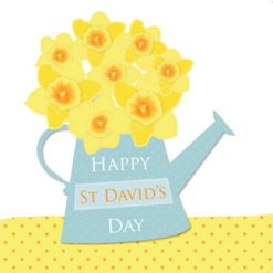 St David's Day Greeting Card