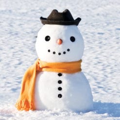 Christmas Greeting Card