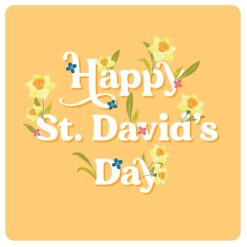 St David's Day Card